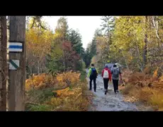 Descubre la majestuosidad de las Montañas Gory Stolowe en Polonia: Una guía imperdible