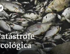 Descubre la belleza de Polonia navegando por el río Oder: guía completa