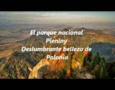 Descubre la belleza natural del Parque Nacional de Drawa en Polonia: un paraíso oculto para los amantes de la naturaleza