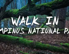 Descubre la belleza natural del Parque Nacional de Kampinos en Polonia – Una guía completa